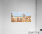 Coastal Calm Acrylic Print