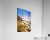 Paradise Pastel Acrylic Print