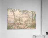 Pastelic Acrylic Print