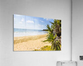 Beyond The Palms Acrylic Print