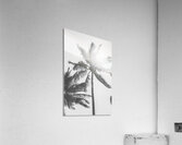 Leafy Shades Acrylic Print