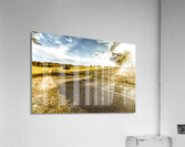 Acres Of Adventure Acrylic Print