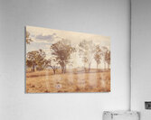 Sunlit Slopelands Acrylic Print