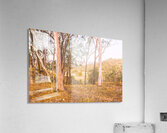 Hillside Quietude Acrylic Print