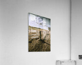 Borderlines Acrylic Print