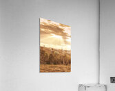 Mount Perry Gold Acrylic Print