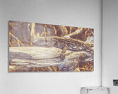 Wooded Dragon Acrylic Print