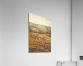 Rolling Hill Antiquity Acrylic Print