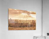 Gold Country Acrylic Print