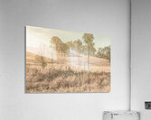 Muted Outbacks Acrylic Print