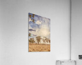 Bleached Country Vertices Acrylic Print