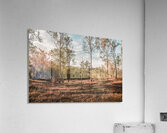 Beauty And Rusticity Acrylic Print