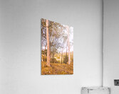 Elevated Country Outlook Acrylic Print