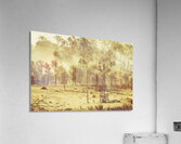 Black Horse Creek Windmill Acrylic Print