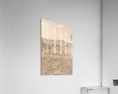 Backcountry Calm Acrylic Print