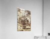 Forgotten Farmstead Acrylic Print