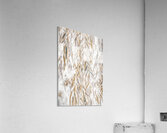 Weeping Willow Washes Acrylic Print