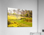 Charming Farming Acrylic Print