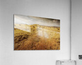 Trailing Branch Creek Acrylic Print