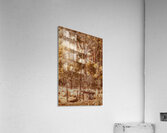 Pioneering Country Acrylic Print