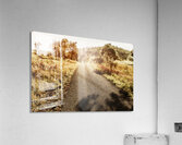 Summer Escape Acrylic Print