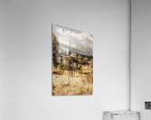 Overcast Rusticity Acrylic Print