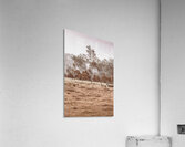 Misty Beauty Acrylic Print