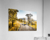 Summer Gold Acrylic Print