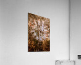 Shades Of Autumns Rust Acrylic Print