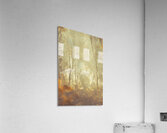 Mystified Acrylic Print