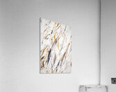 Modernity Acrylic Print