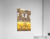 Golden Mill Acrylic Print