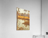 Country Golden Acrylic Print