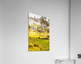 Mill And Smoke Acrylic Print