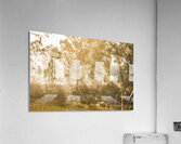 Branch Creek Magic Acrylic Print