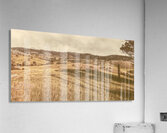 The Old Country Acrylic Print