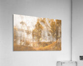 Mistery Acrylic Print