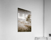 Hilltop Views Acrylic Print