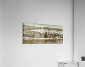 Upland Rusticity Acrylic Print