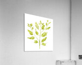 Growth Acrylic Print