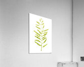 Painted Gum Acrylic Print