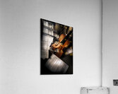 Strings And Songs Acrylic Print