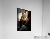 Passions In Play Acrylic Print