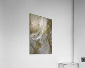 Abstract Play Acrylic Print