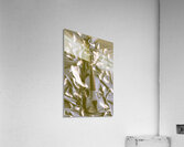 Feather n Fiddle Acrylic Print