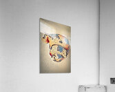 Folky Cow Collective Acrylic Print