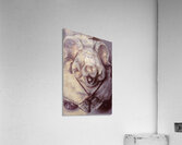 With Dinner Bells Ringing Acrylic Print