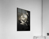 Beauty And Atmosphere Acrylic Print