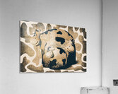 Farming Spots And Blots Acrylic Print