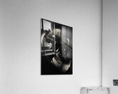 The Closeness Acrylic Print